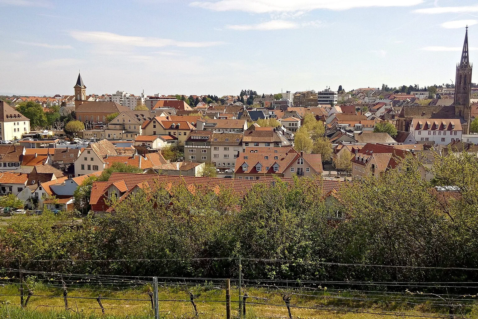 Bad Dürkheim, Ansicht vom Vigilienturm aus