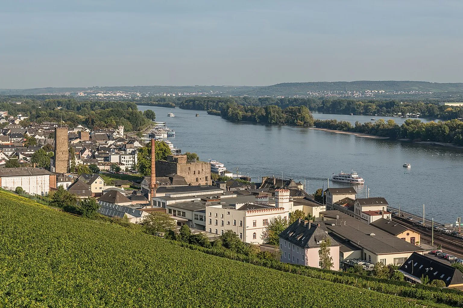 Ansicht von Rüdesheim am Rhein