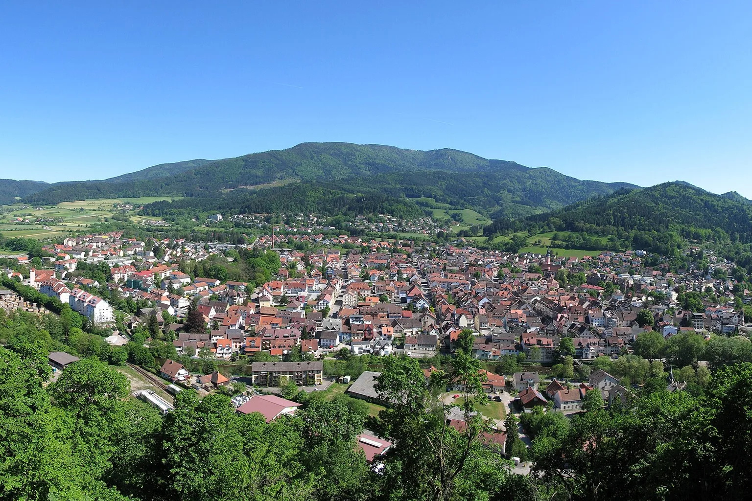 Ansicht von Waldkirch
