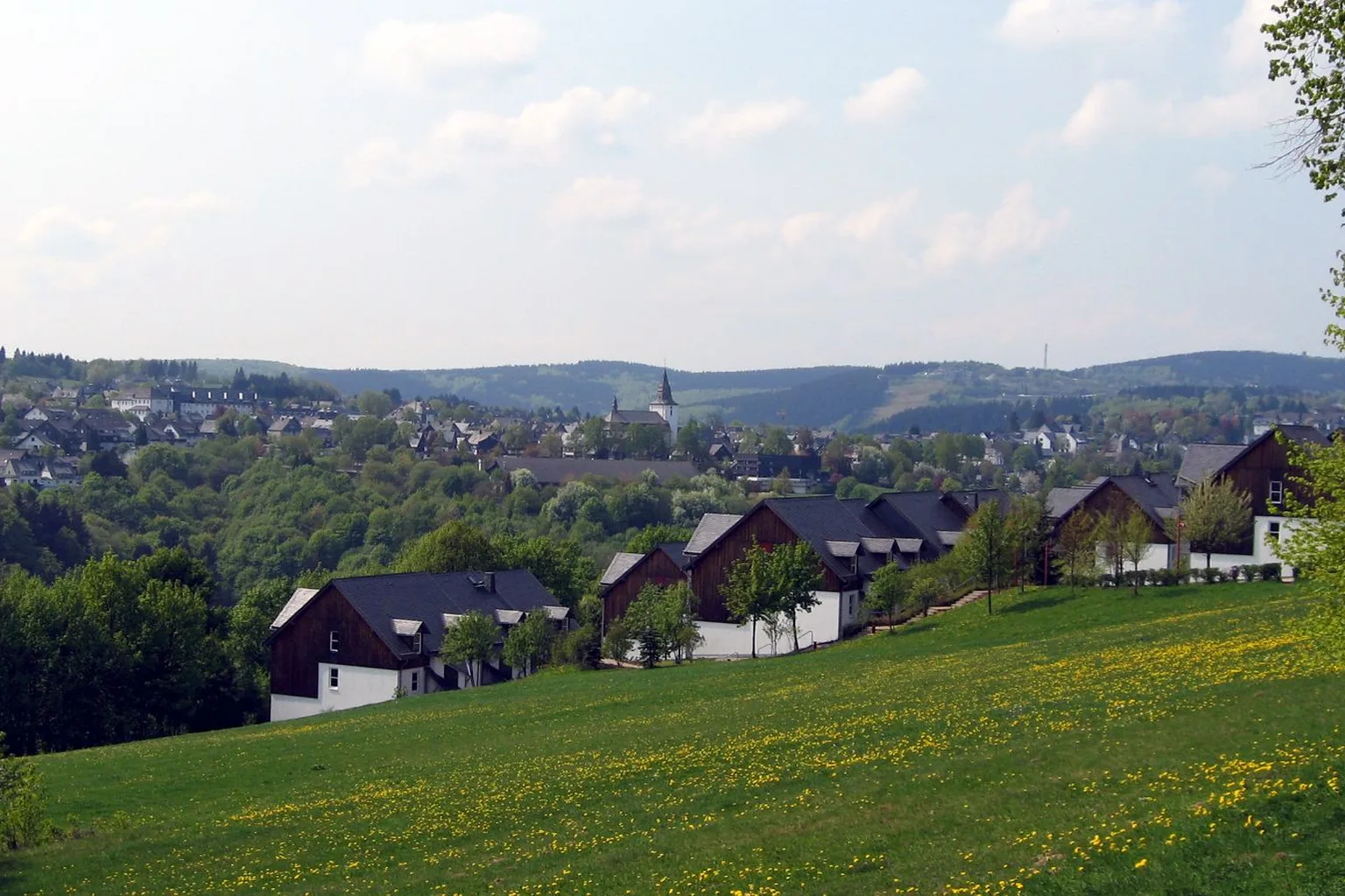 Germany / view to Winterberg