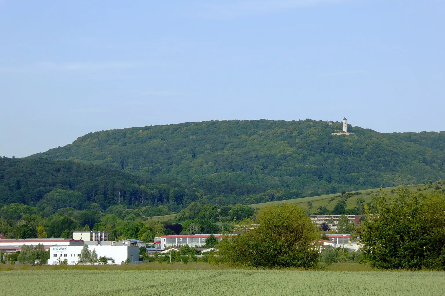 Ansicht von Wittenberg