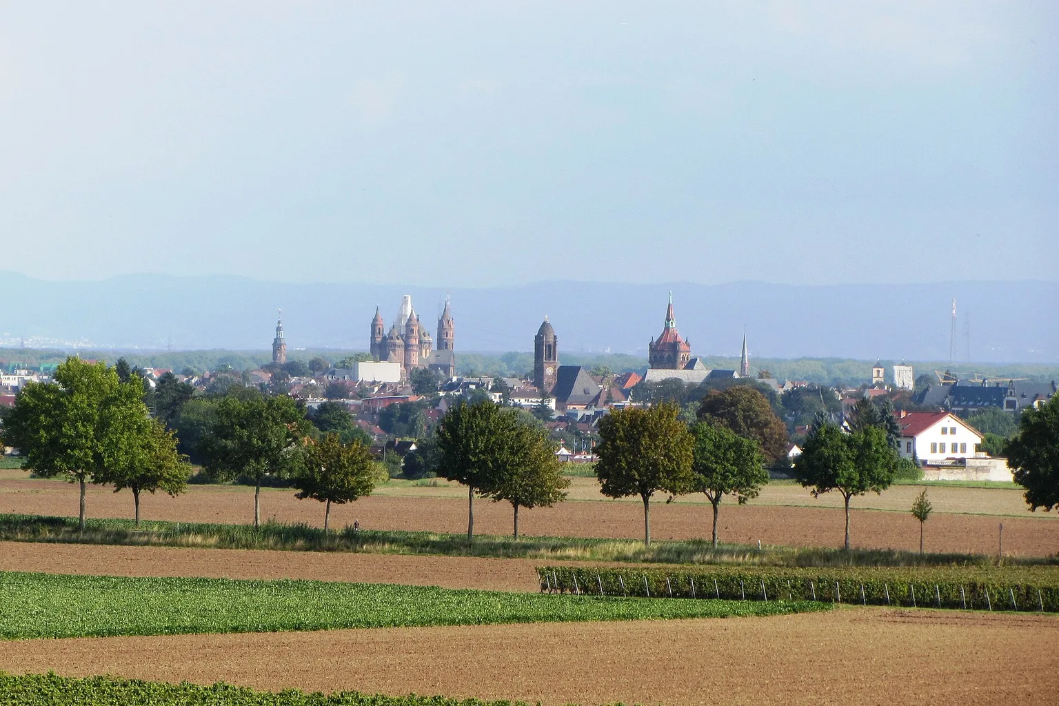 Sicht auf Worms 2014